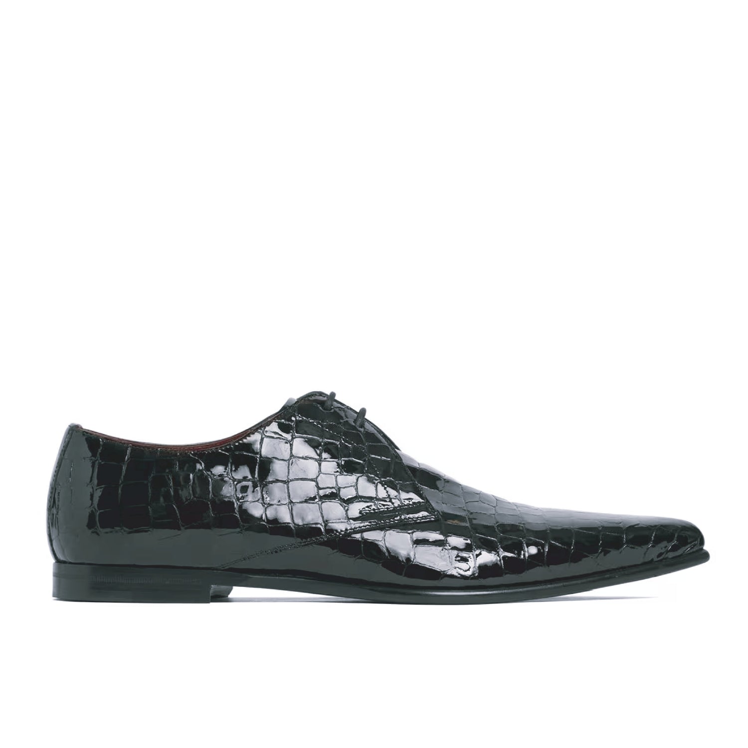 Dolce gabbana crocodile discount shoes